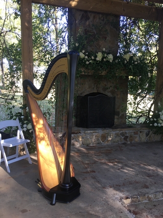 Mississippi Wedding Harpist