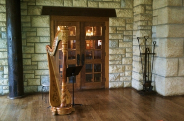 Eastern Missouri Wedding Harpist