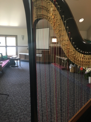 North Chicago Harpist