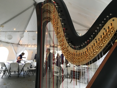 Monticello Wedding Harpist