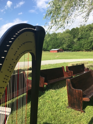 Wedding Harpist in Northern Alabama