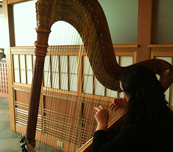 Anderson Japanese Gardens Rockford Harpist