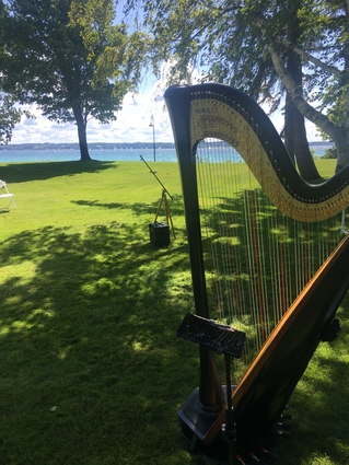 northern Michigan Wedding Harpist