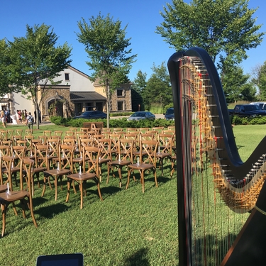 Garden Wedding Harpist