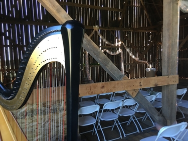 Marinette Wisconsin Wedding Harpist