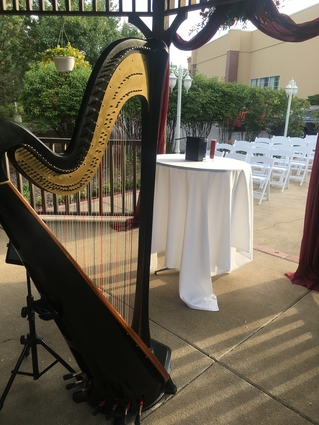 Northwest Indiana Wedding Harpist