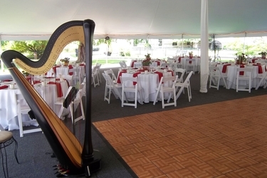 Notre Dame Wedding Reception with a Harpist
