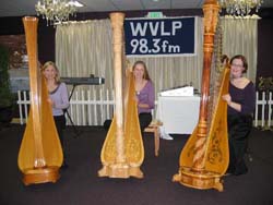 Harp Ensemble for Hire