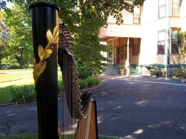 Northern Indiana Wedding Harpist