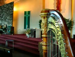 Northwest Indiana Catholic Wedding Harp Musician