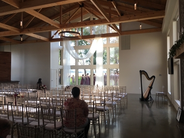 Champaign Harpist for Weddings
