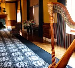Grand Rapids Harpist for Weddings