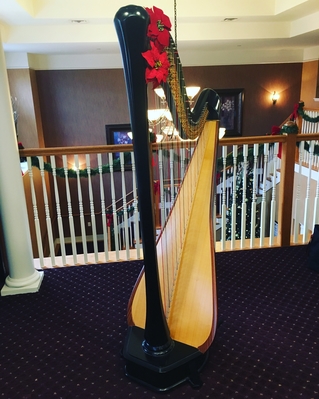 peoria Funeral Musician Harpist