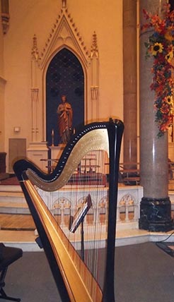 Harpist in an Orchestra Illinois
