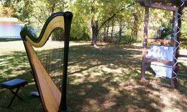 Travelling Wedding Harpist