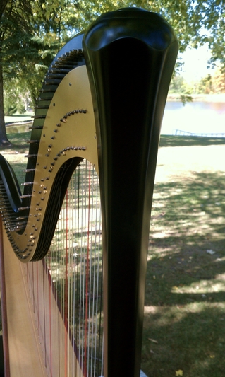 Wedding Harpist in North Central Illinois