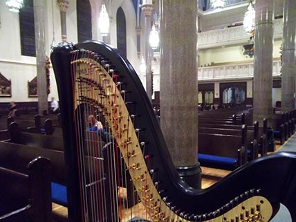 Orchestral Harpist Illinois Peoria