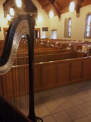 Peoria Harp Player - Wedding Music in North Central Illinois