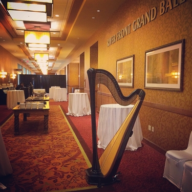 Harp and Violin in Peoria for Wedding Reception Music, Embassy Suites