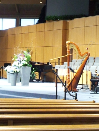 Peoria Illinois Harpist