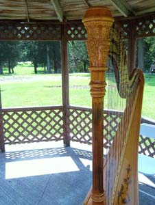 Pilcher Park Wedding Music Harpist Joliet