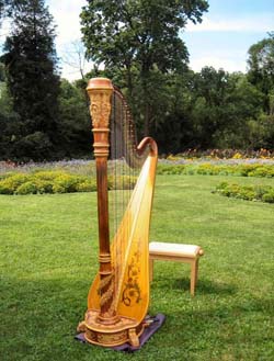 Joliet Harpist for Weddings at Pilcher Park