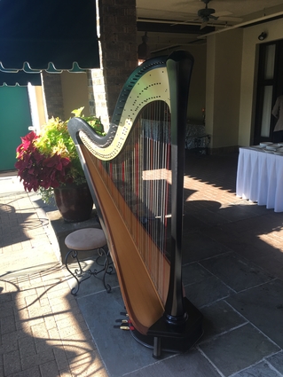 Harp Player in pennsylvania