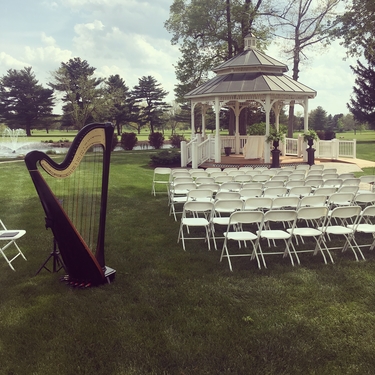Plymouth Wedding Harpist