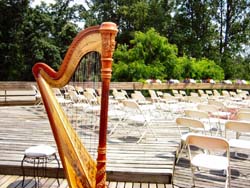 Wedding Musucian Northeast Indiana Harpist