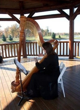 Harpist for Weddings in Port Huron