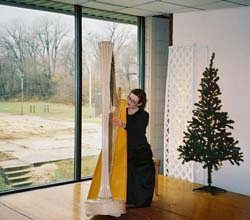 Wedding Music for New Year's Eve Harpist