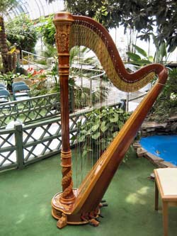 Potawatomi Greenhouse Wedding South Bend Harpist