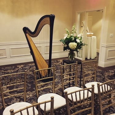 Eastern Iowa Wedding Harpist - Wedding Ceremony at Hotel Blackhawk