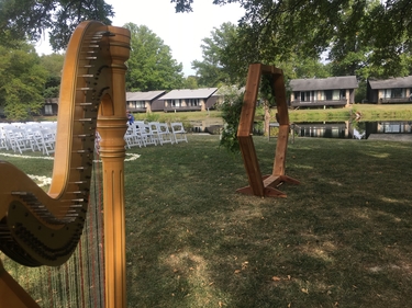 Vincennes Wedding Harpist