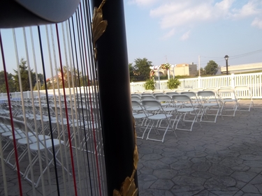 Harpist for Weddings in Celina and St. Marys, Ohio