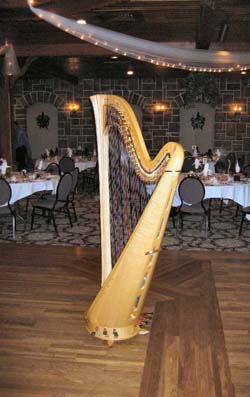 Chicago Harpist for Wedding Receptions