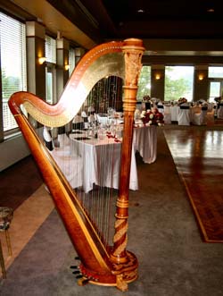 Northwest Indiana Harp Violin Duet Wedding Music