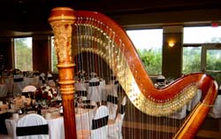 Northwest Indiana Wedding Reception Musicians Harp Violin