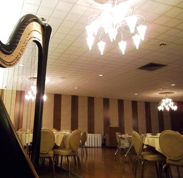 Harpist at Teibel's - Corporate Party Music