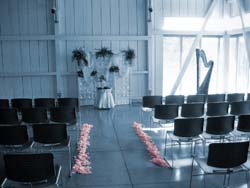 Chicago Wedding Harp Player Olympia Fields Ceremony