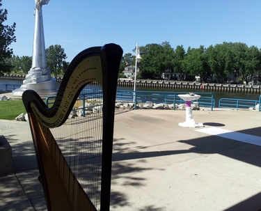 Southwest Michigan Wedding Harpist
