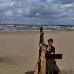Lake Michigan Beach Wedding Harpist Southwest MI