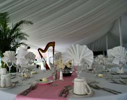 Wedding Reception Harpist