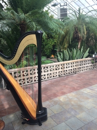 South Bend Wedding Harpist - Potawatomi Greenhouse Ceremony