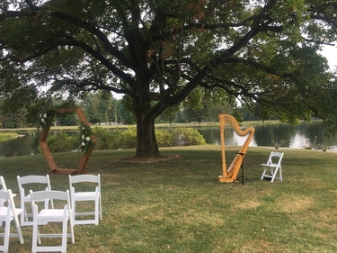 Southern Illinois Wedding Harpist Robinson