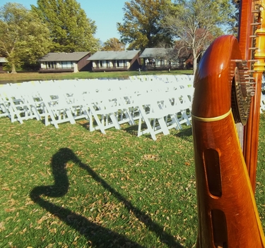 Wedding Music in Southern Illinois - Harpist