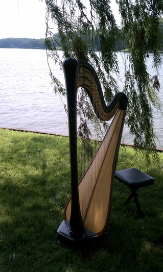 Outdoor Wedding Harpist