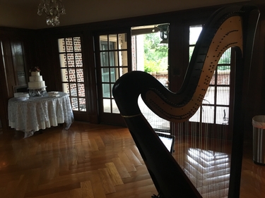 Wedding Reception Harpist in Portsmouth OH