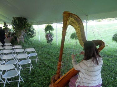 Southern Ohio Wedding Ceremony Harp Player