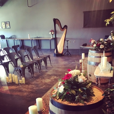 Southwest Michigan Harpist for Weddings